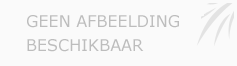 Afbeelding › Stanley Schilderwerken